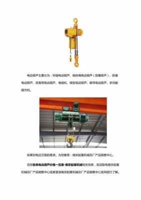 南京专业电动葫芦价格（电动葫芦价格表）-图2