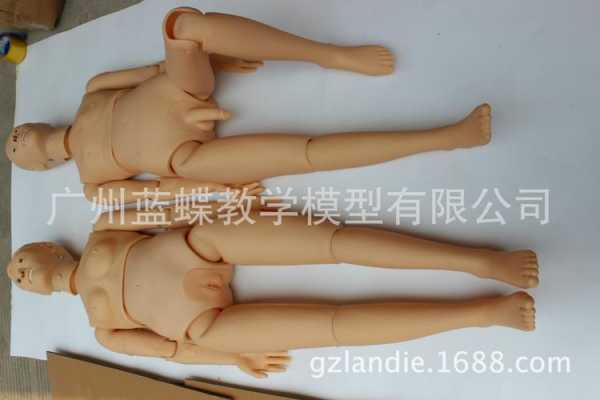 人体模特模具（人体模特模具图片大全）-图1